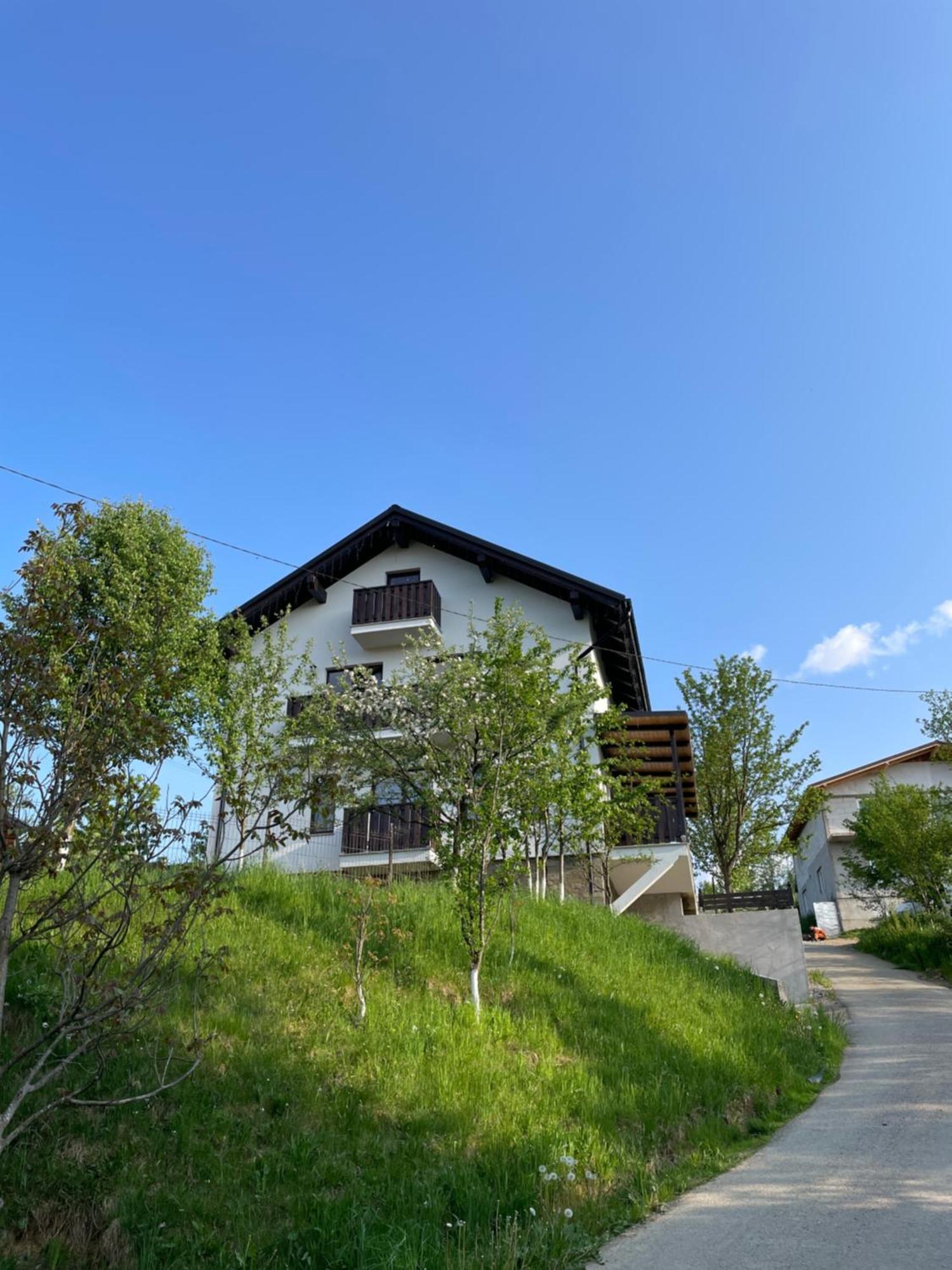 Vila Hojda Moisei Exterior photo